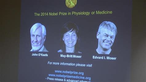 Nobel De Medicina Vai Para “gps” Do Cérebro