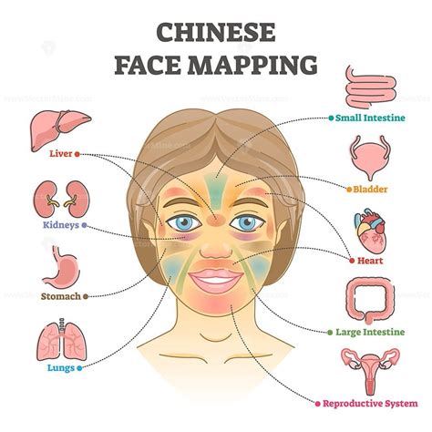 Chinese Face Mapping As Alternative Medicine Health Diagnosis Outline
