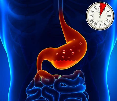 how long does it take to digest food the answer might surprise you global medical data