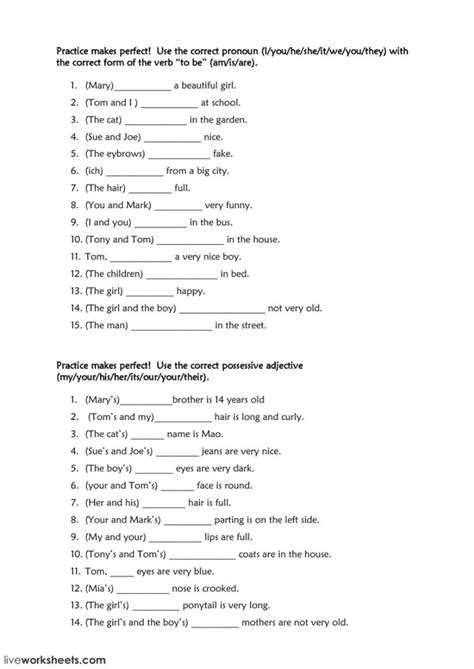 Spanish Possessive Adjectives Practice Worksheets