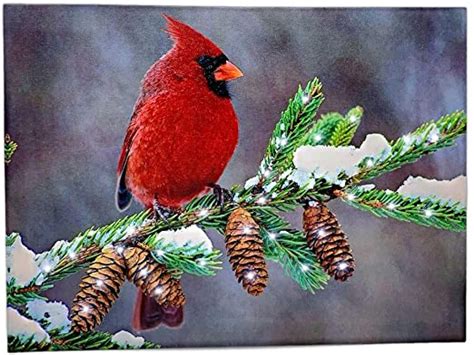 Banberry Designs Winter Cardinal Print Led Light Up