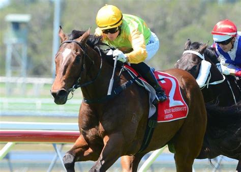 This website is a must if you fly by private jet. Gollan Racing :: Still Gollan great thanks to an awesome ...