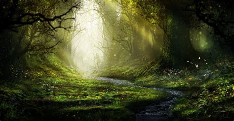 Enchanted Forest By Aeflus On Deviantart Enchanted Forest Studio