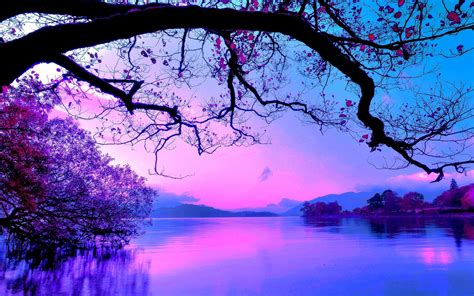 Free Download Lavender Mountains Nature Purple Reflection