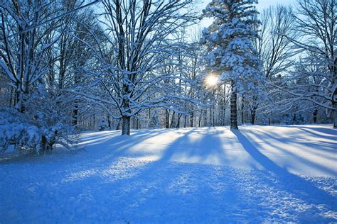 Nature Winter Snow Road Tree Forest Sky Landscape White