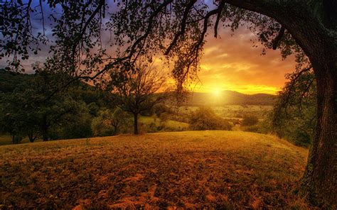 2880x1800 Tree Sun Aesthetic Dawn Landscape Panorama Macbook Pro Retina