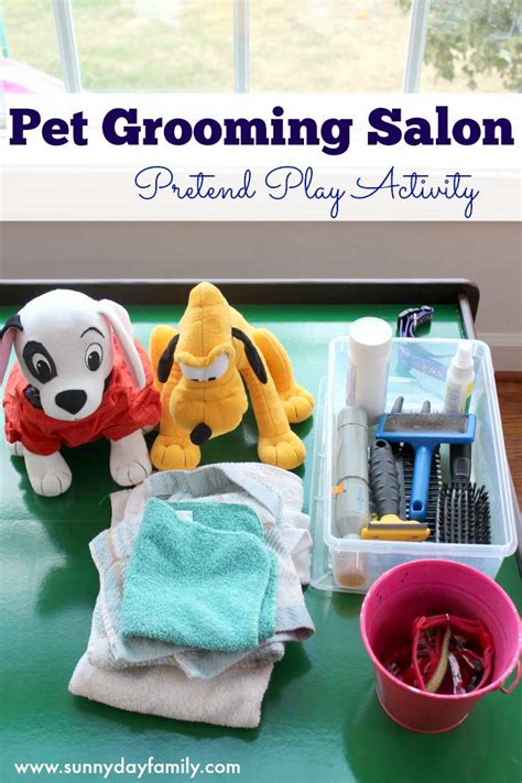 Pet Grooming Salon Pretend Play Activity For Preschoolers Sunny Day