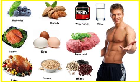 The Top Foods For Muscle Building All Bodybuilding Com