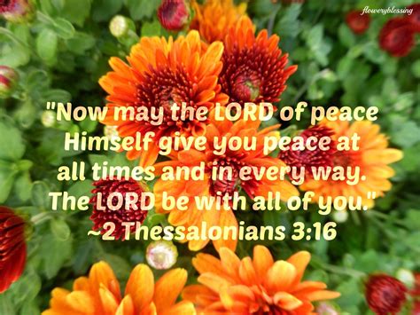 Flowery Blessing Now May The Lord Of Peace Himself Give You Peace At