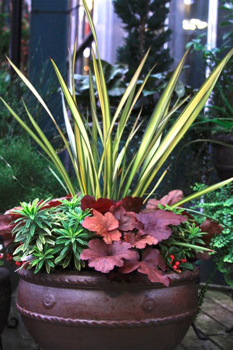 Cool Colorful Container Gardens For Chilly Weather
