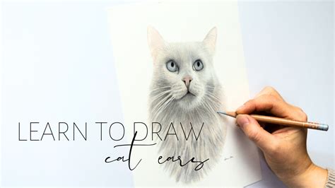 Learn To Draw Cat Ears A Colored Pencil Animal Feature Guide Youtube