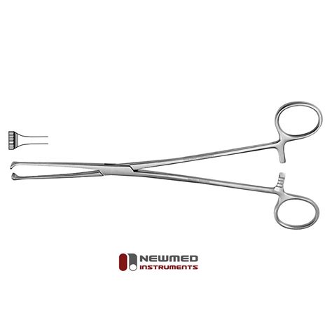 Curved Allis Forceps Ubicaciondepersonascdmxgobmx