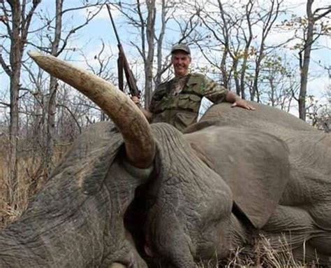 Farmer Sparks Outrage For Posing With Dead Elephant And Zebra During