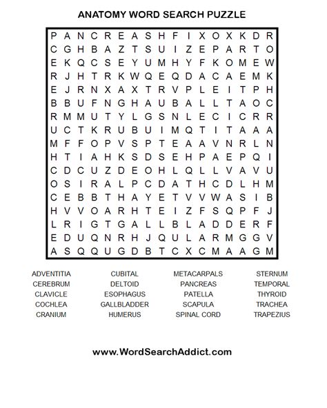Word Search Puzzles Printable Bing Images Word Search