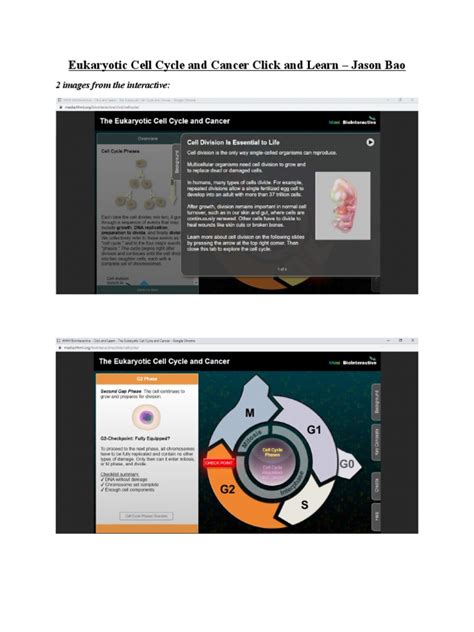 Eukaryotic Cell Cycle And Cancer Click And Learn Pdf