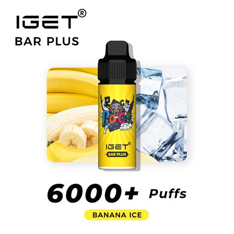 Iget Bar Plus 6000 Puffs Rechargeable Disposable Vape Pods China Iget