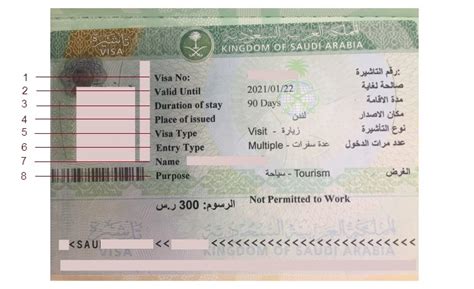 Saudi Tourist Visa Information Explainer Saudi Arabia Visa Services