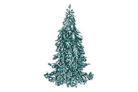 Snowy Fir Tree Graphic By Annartshock · Creative Fabrica