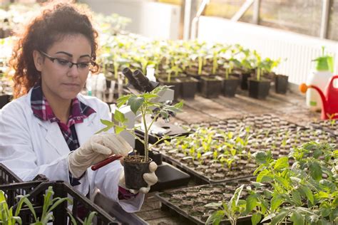 Horticulture Course In India Eligibility Colleges Job Prospects FAQs