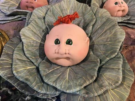 Babyland A Georgia Roadside Attraction With A Birth Of A Cabbage