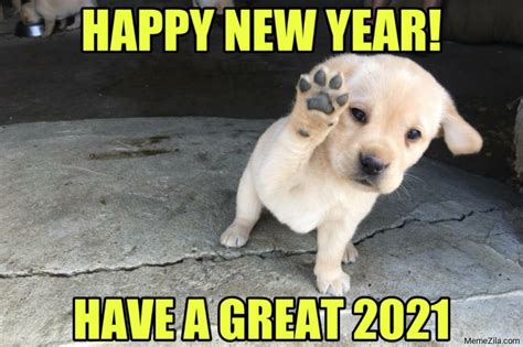It wasn't joe himself, though, with his air of steady competence need some positivity right now? Happy new year 2021 meme - MemeZila.com