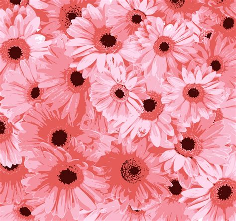Pink Flowers Background Free Stock Photo Public Domain Pictures