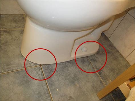 How To Tell If Toilet Is Leaking Underneath Katynel