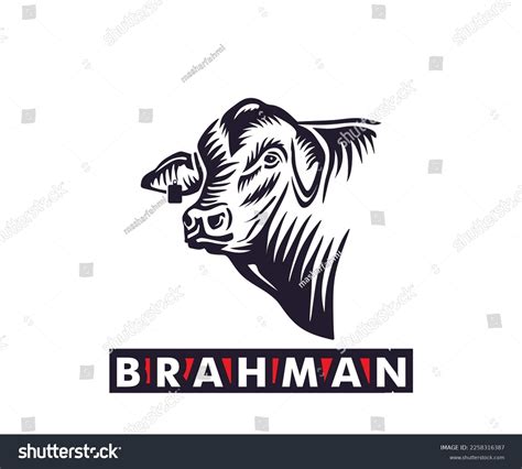 190 Brahman Bull Vector Images Stock Photos And Vectors Shutterstock