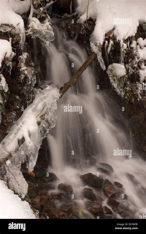 Creek Cascade In Winter Ford Pinchot National Forest Washington