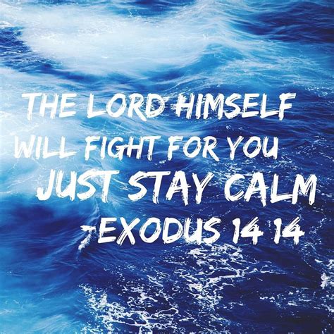 The Lord Himself Will Fight For You Just Stay Calm Exodus 1414 Nlt