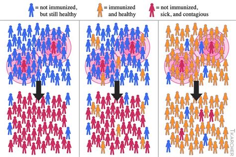 The Cost Of Herd Immunity In The Us Medpage Today