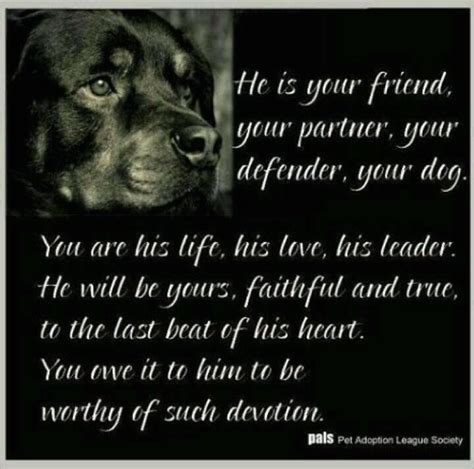 Rottweiler Dog Quotes Quotesgram