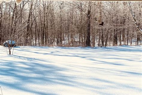Pin By Vickies Interests On Arkansas Landscapes Landscape Outdoor Snow