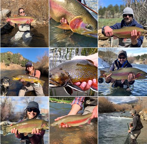 Happy New Years From Cth Colorado Trout Hunters