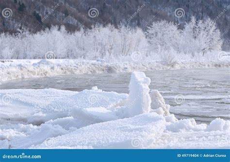 Frozen River And Tree Covered With Snow Stock Photo Image Of