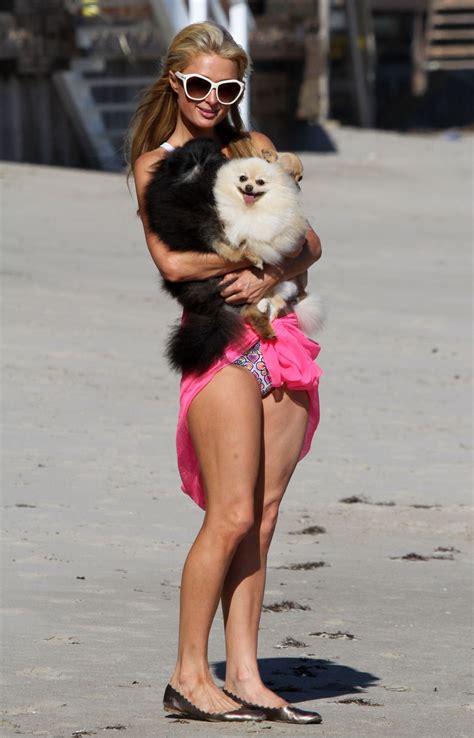 Paris Hilton In Bikini At A Beach In Malibu Hawtcelebs