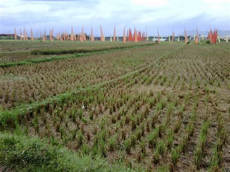 Bendungan saguling / waduk saguling. Gowes-aH: Sepedahan Sendiri: XC Ringan ke Danau Saguling - Kota Baru Parahyangan 2