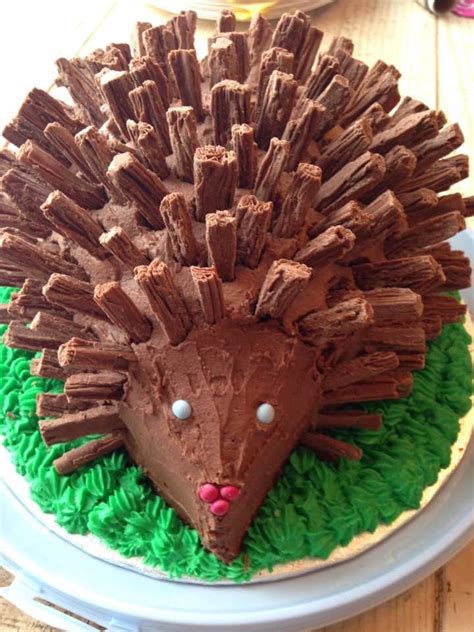 Hedgehog cake made with chocolate buttons. Chocolate Hedgehog cake (With images) | Hedgehog cake ...