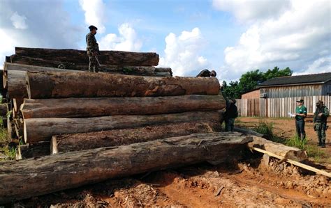 O poder lingua baixar livros pdf. Amazonas tem redução de 12% em alertas de desmatamento no ...