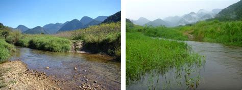 4 Differences Between The Dry Season In July 2010 Left And The Wet