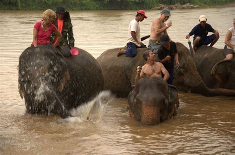 giving our ladies a scrub in the namkhan river bath time sensitive skin elephant
