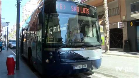 Torrevieja Contará Con Tres Búho Bus En Verano Desde La Medianoche