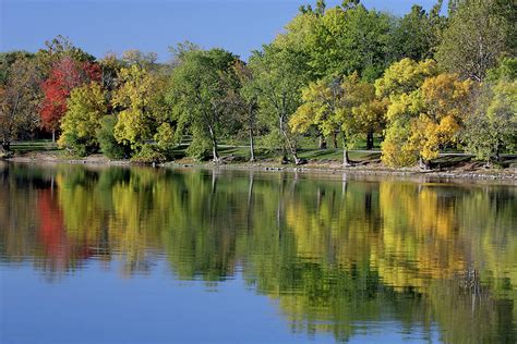 River Bank Trees In The Fall By Stevegeer