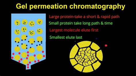 Gel Permeation Chromatography Part Life Sciences Csir Net Csirathome