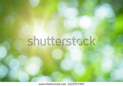 Abstract Green Foliage Tree Jungle Blur Stock Photo 2222957469