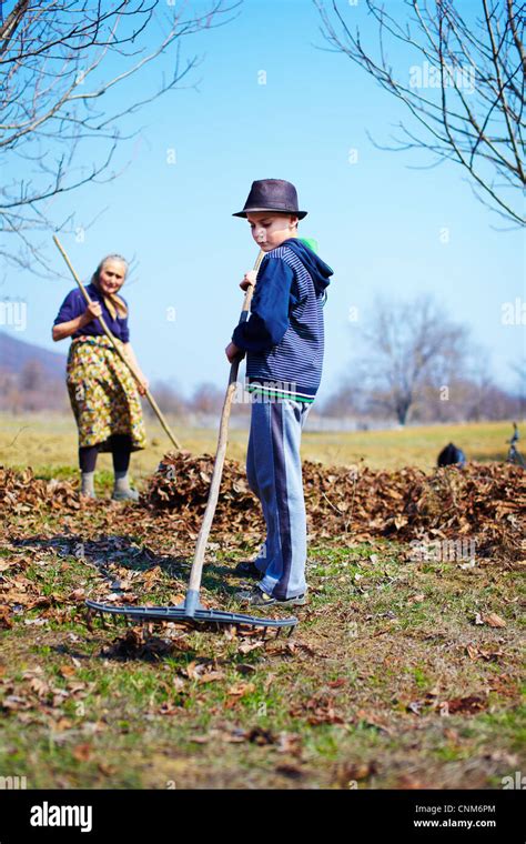 Grandmother And Grandson Spring Cleaning The Walnut Orchard With Rakes