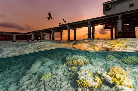 North Ari Atoll Sunset Thien Nguyen Images