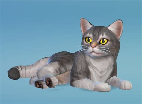 Sims 4 Cats And Dogs Cc Recolors Jescouture