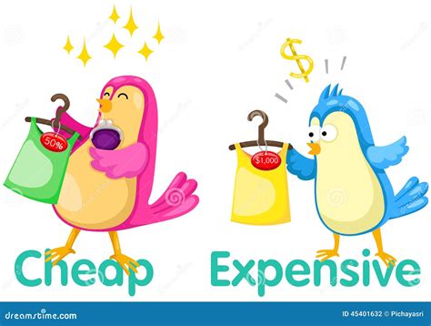 Cute Birds With Opposite Words Stock Vector Illustration Of Expensive