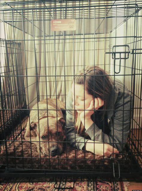 Jessica Biel Photo Actress Poses With Dog In Cage Photo Huffpost